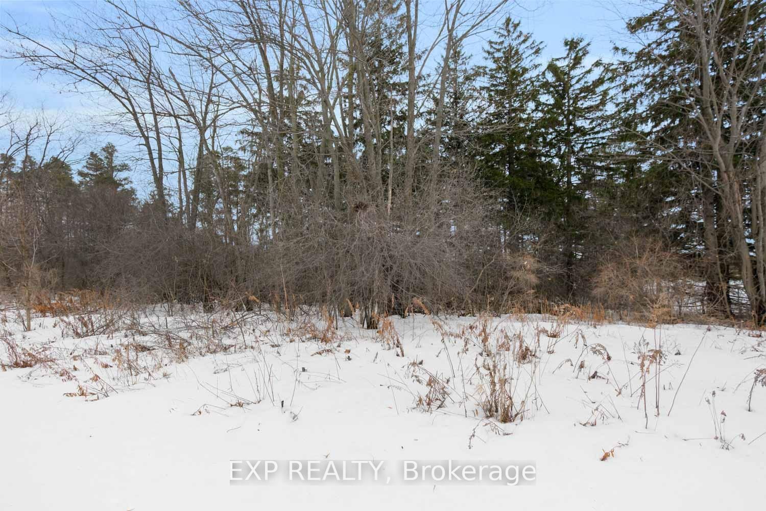 Townhouse for sale at 24 Williams Street, Markham, Ontario, L6C 0C2 - Berczy - MLS: N12944186