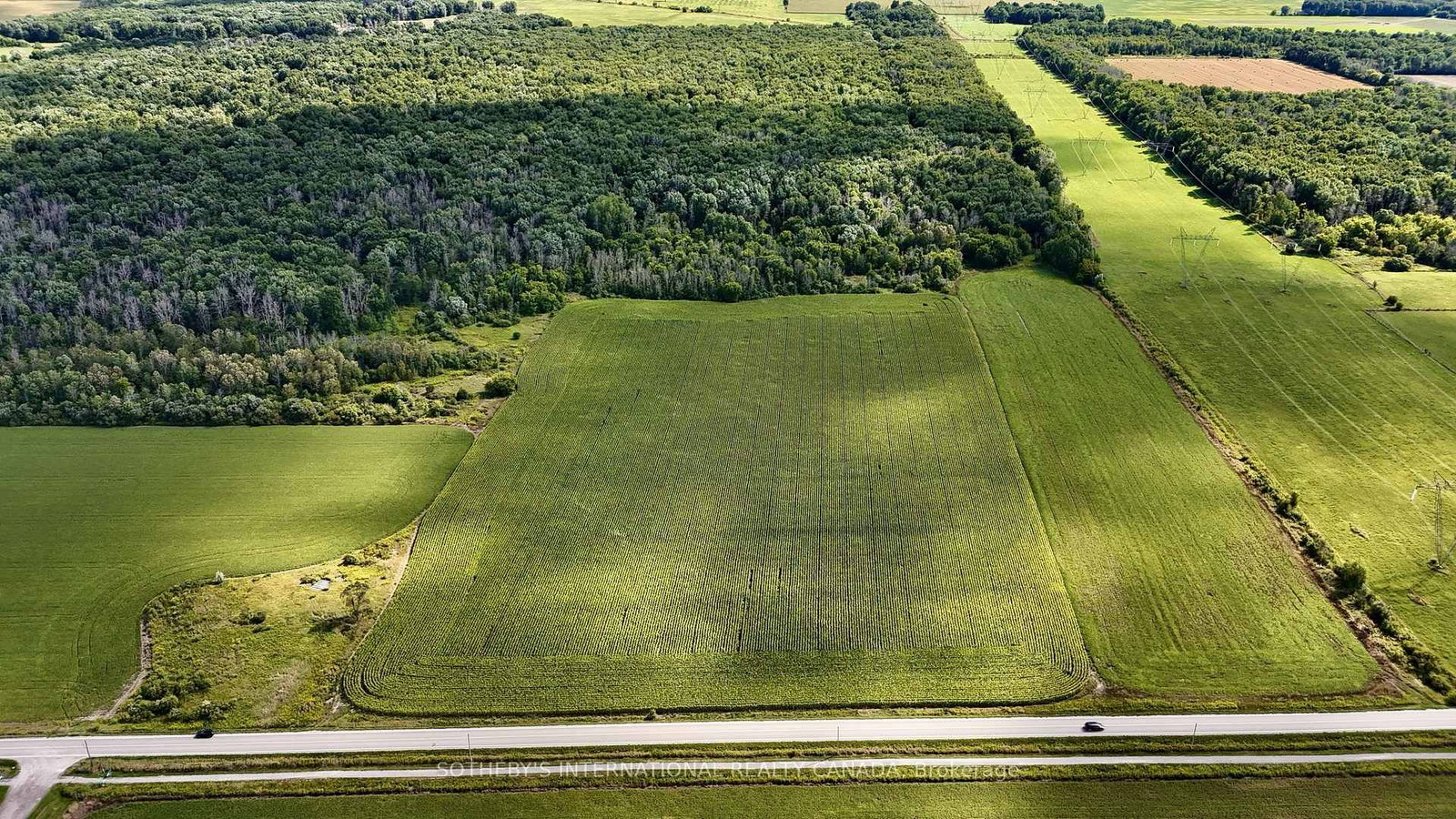 5231 13th Line • New Tecumseth, ON photo 10
