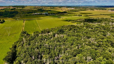 5231 13th Line • New Tecumseth, ON photo 6