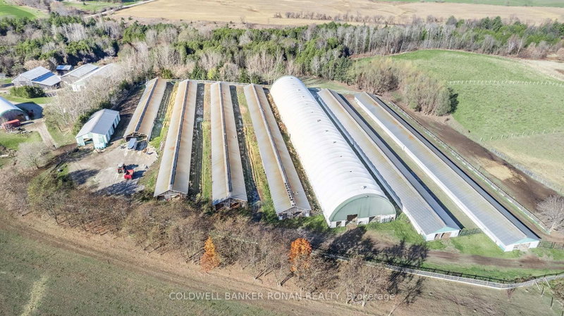 5735 Concession Rd 6 photo 4