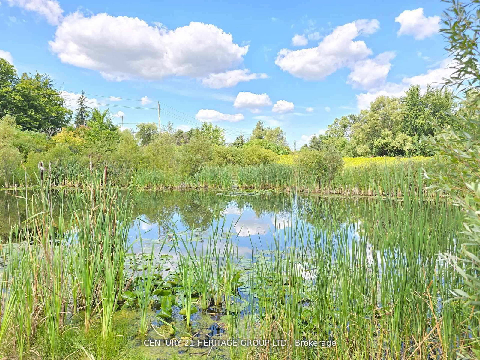 Detached House for sale at 44 Madison Avenue, Richmond Hill, Ontario, L4E 2Z6 - Oak Ridges - MLS: N12955828