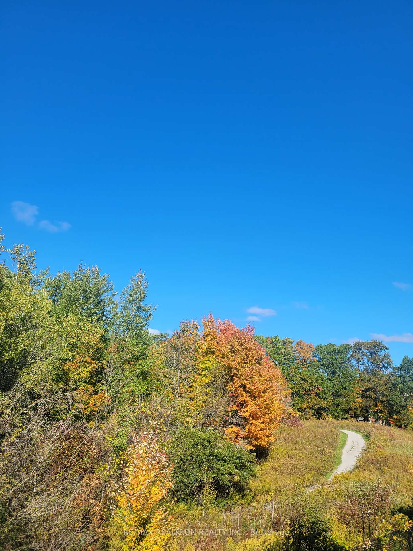 Detached House for sale at 10 Dovetail Drive, Richmond Hill, Ontario, L4E 5B1 - Oak Ridges Lake Wilcox - MLS: N12959490