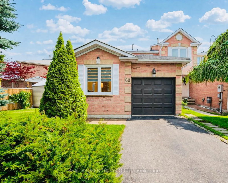 home for lease on Basement-60 Steepleview Crescent