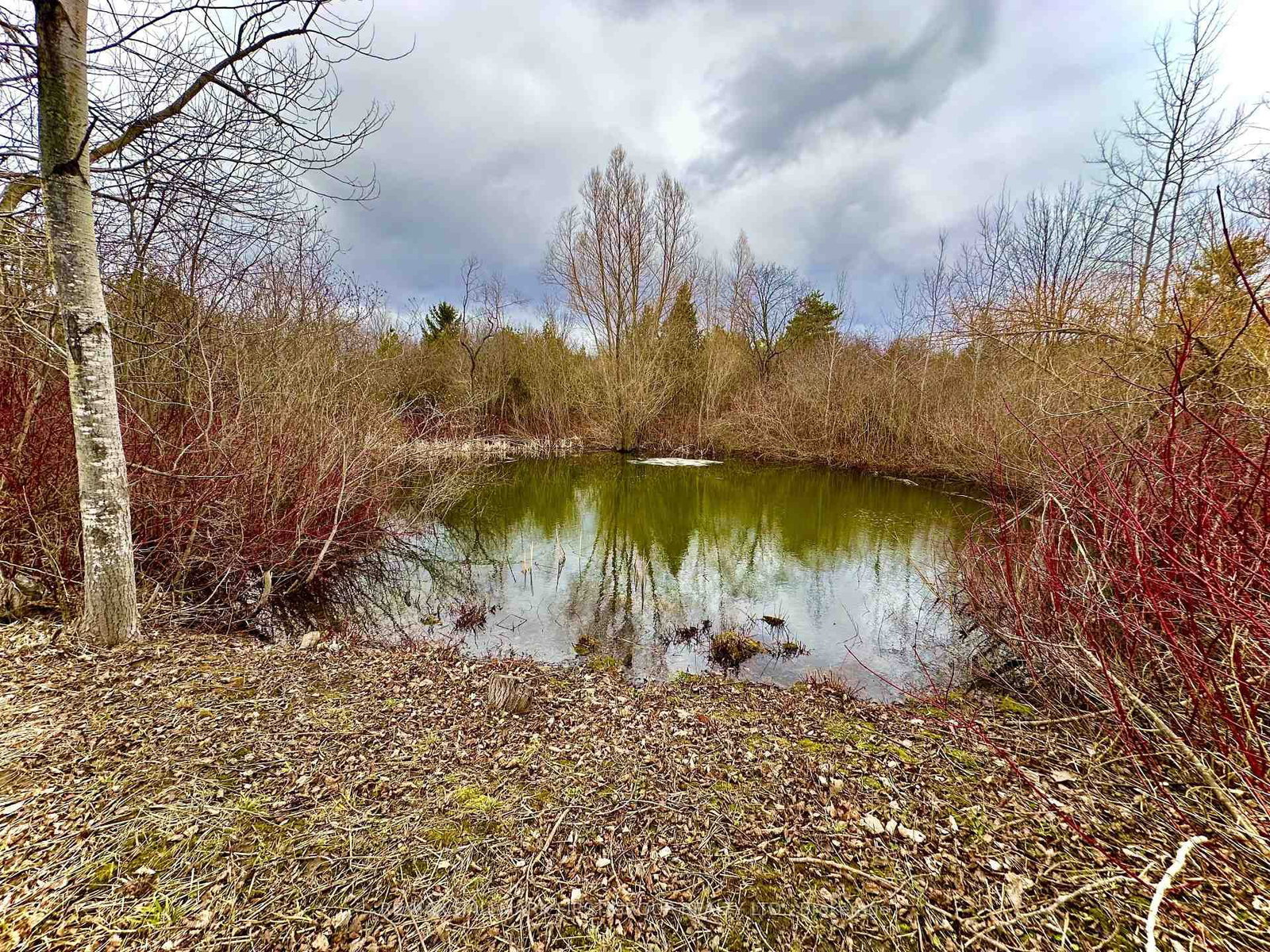 2269 Concession 4 - Photo 5