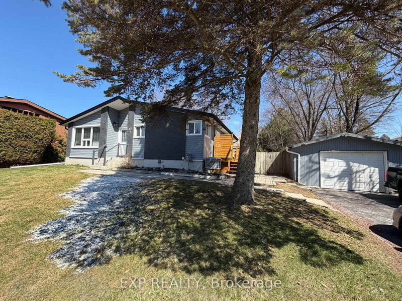 Lower - 73 Roxborough Rd, Newmarket, L3Y 3L1 | Image 3