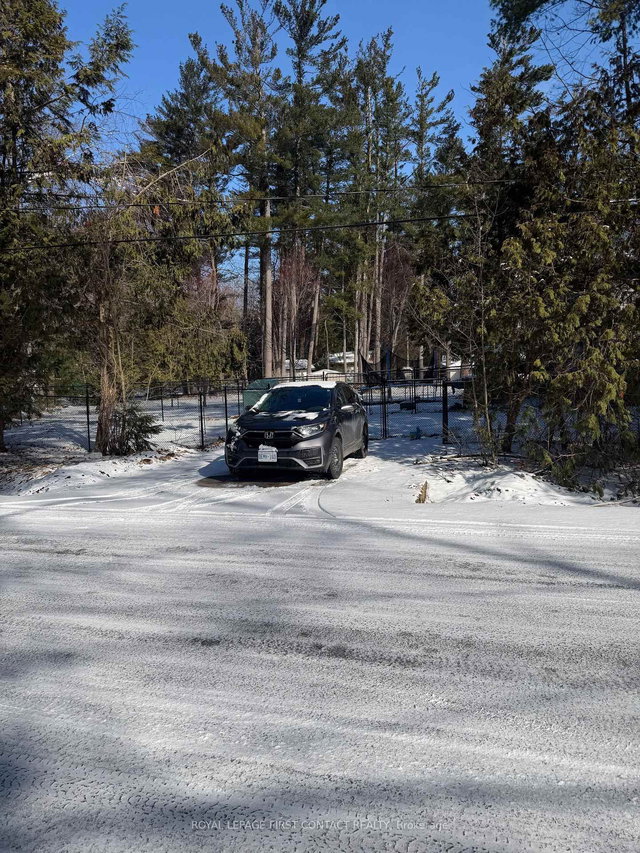 Lower - 3178 Oak Street