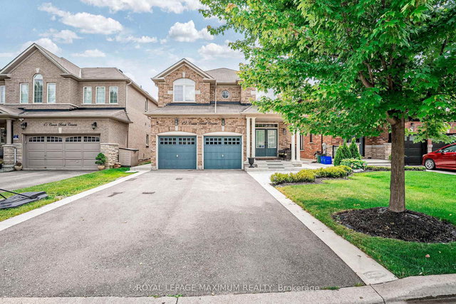 Basement - 19 Corner Brook Crescent