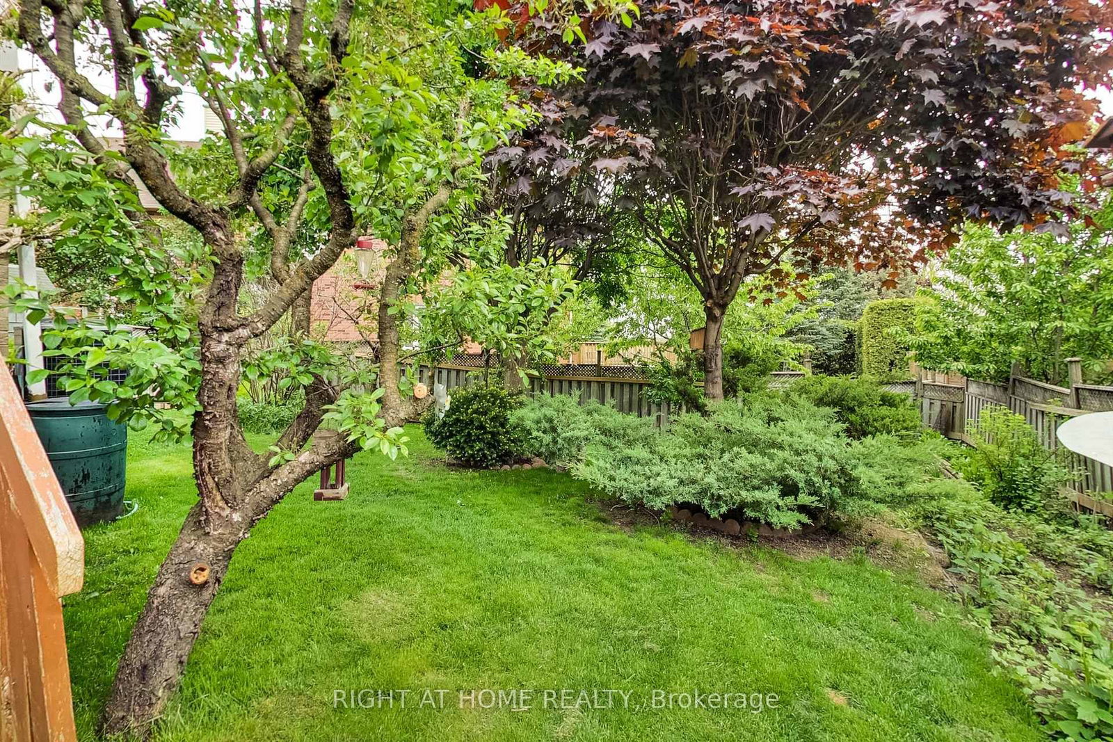 28 Foxtail Ridge - Photo 20