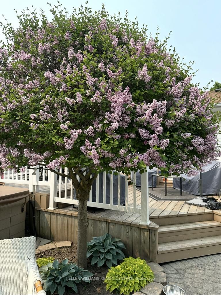 Detached House for sale at 2209 Willard Avenue, Innisfil, Ontario, L9S 2C1 - Alcona - MLS: N12980986