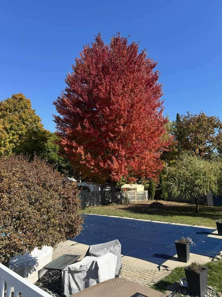 Detached House for sale at 2209 Willard Avenue, Innisfil, Ontario, L9S 2C1 - Alcona - MLS: N12980986