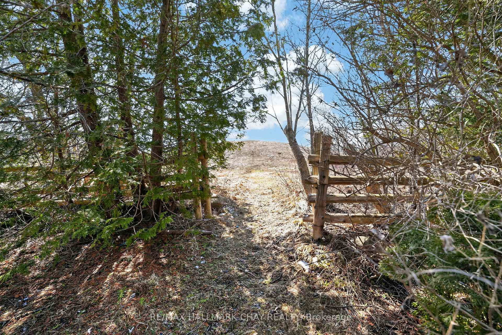 Detached House for sale at 224 Thornton Avenue, Essa, Ontario, L0L 2N0 - Thornton - MLS: N12984564