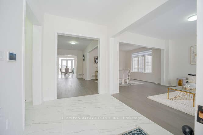 41 Orchid Crescent - Photo 3