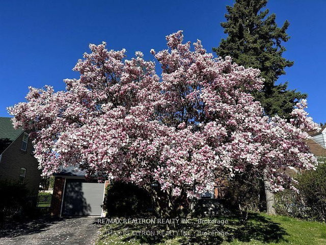 Main and Upper - 112 Lawrence Avenue