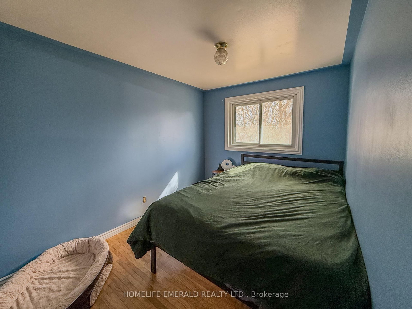 Detached House for sale at 74 VERNON Street, Essa, Ontario, L0M 1B0 - Angus - MLS: N12989110