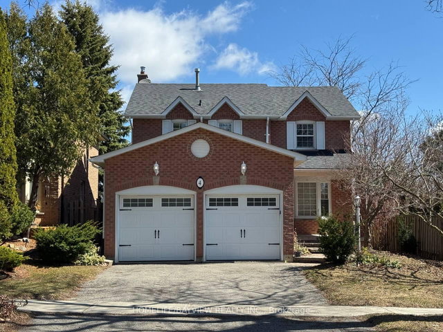 4 Mendys Forest(Main)