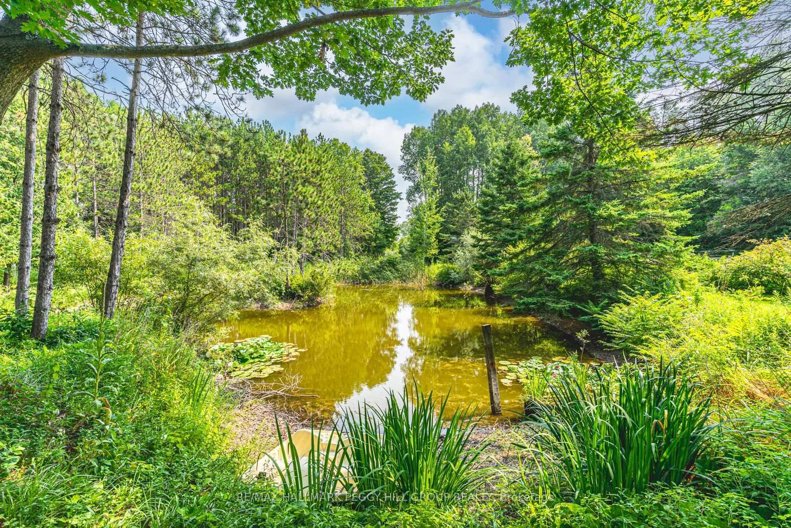 Detached House for sale at 7819 5th Line, Essa, Ontario, L3W 0S7 - Rural Essa - MLS: N12992356