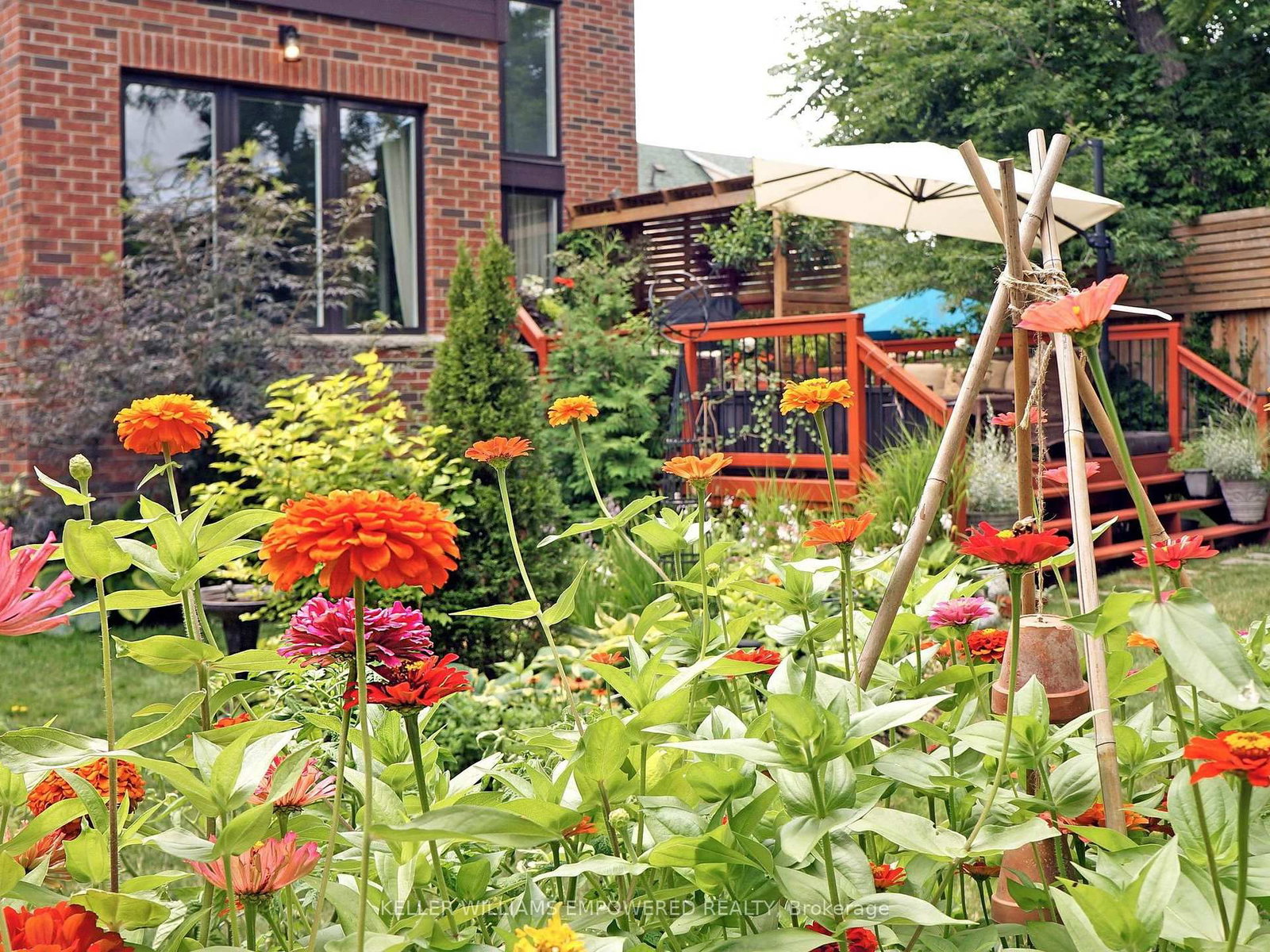 Detached House for sale at 29 Bedford Park Avenue, Richmond Hill, Ontario, L4C 2N9 - Crosby - MLS: N12993118