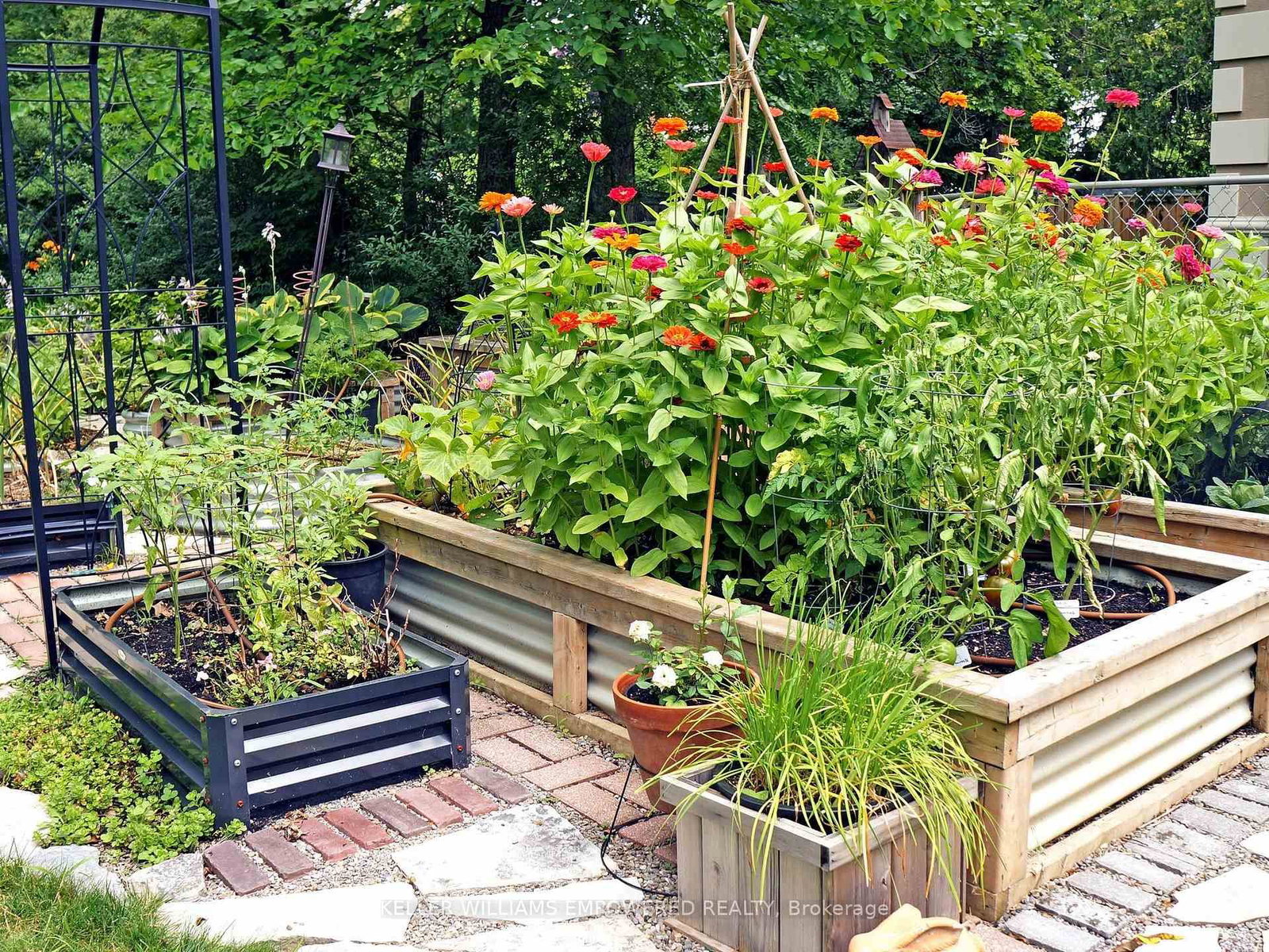 Detached House for sale at 29 Bedford Park Avenue, Richmond Hill, Ontario, L4C 2N9 - Crosby - MLS: N12993118