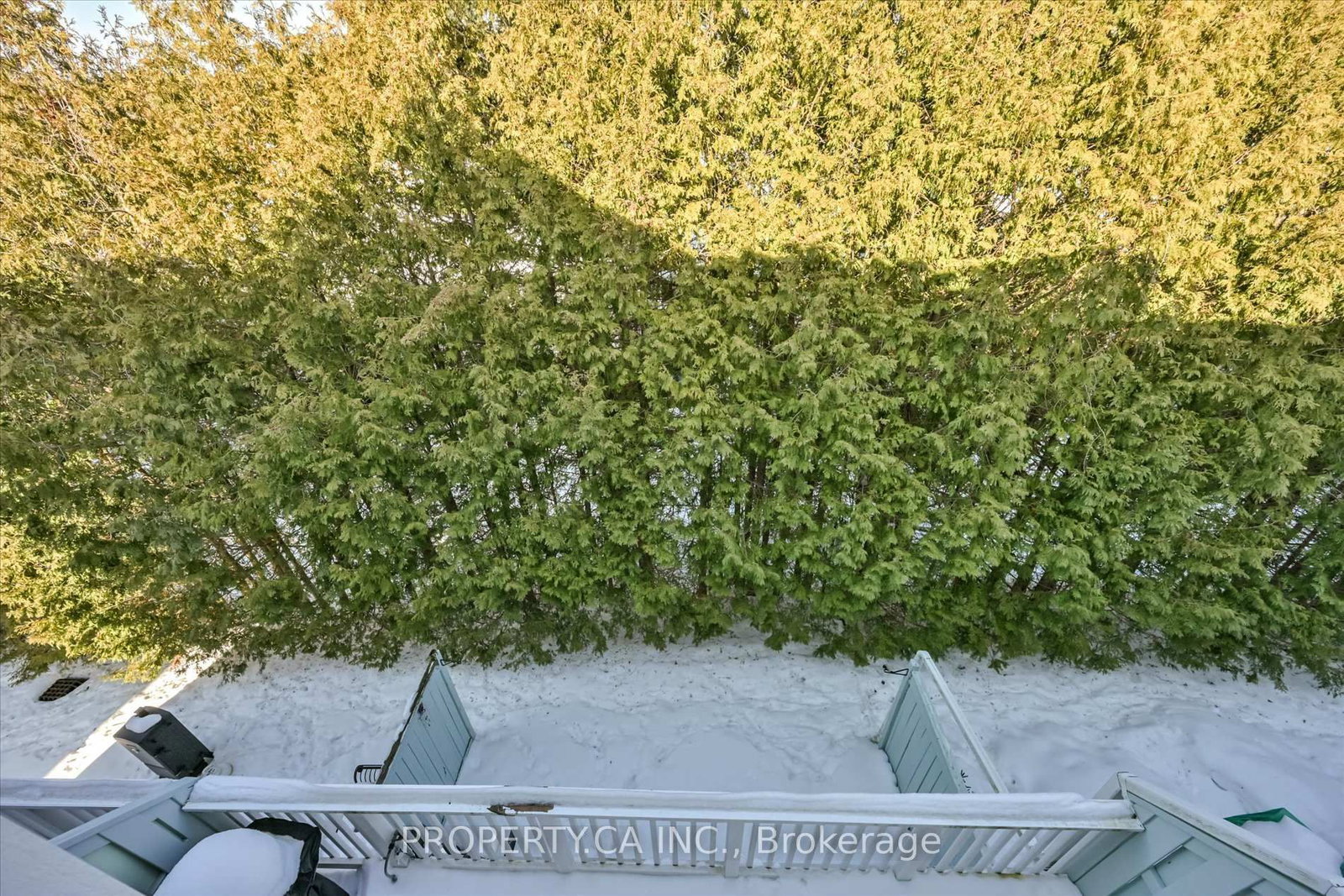 1051 On Bogart Circle, Unit 46 - Photo 35