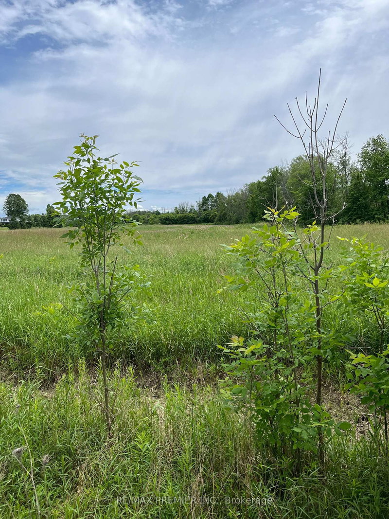 N/A Highway 48, Georgina, L0E 1N0 | Image 3