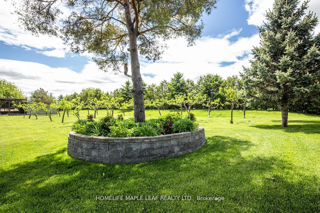 2280 Highway 27 - Photo 50