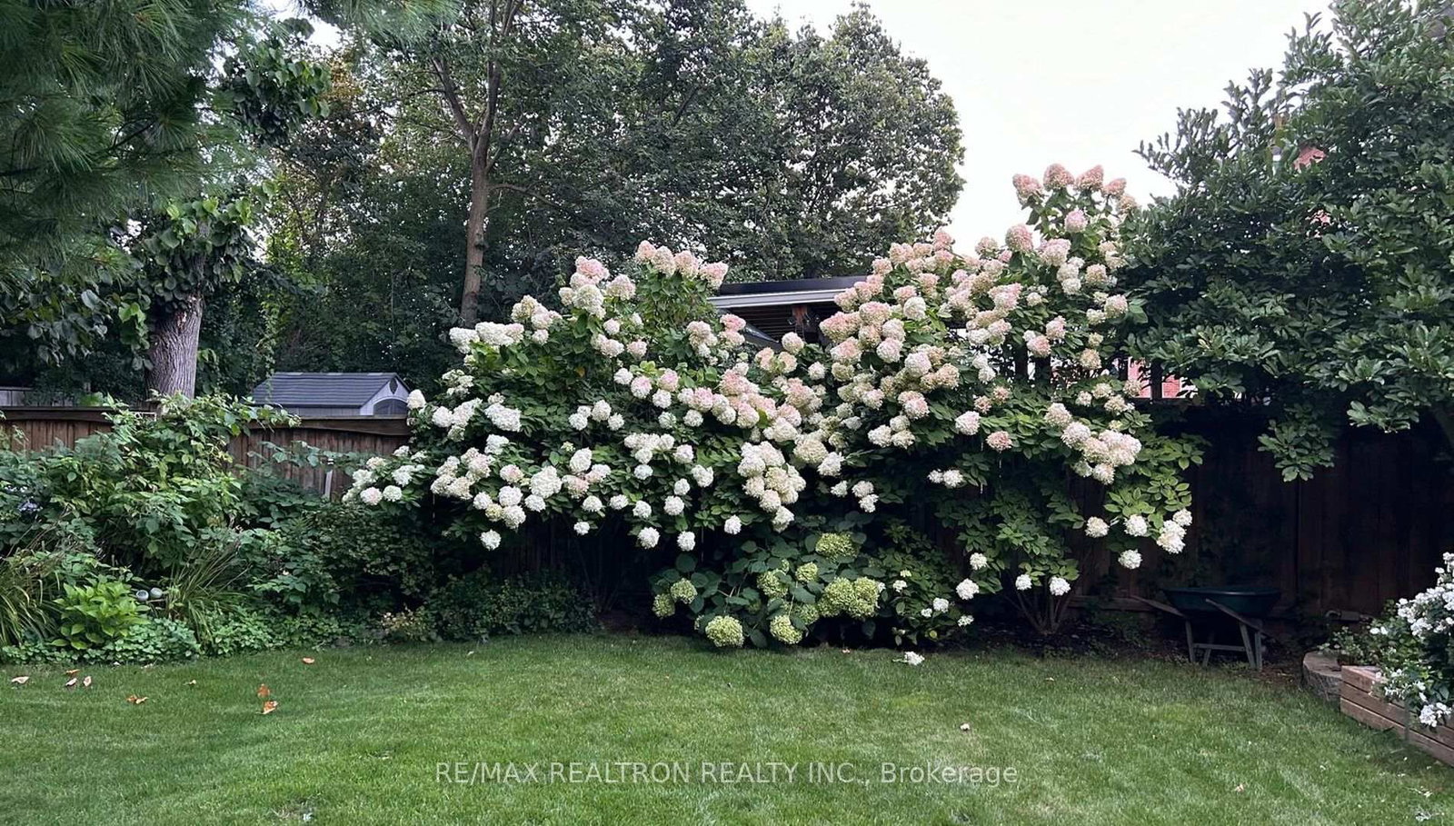 Detached House for sale at 86 Eagle Peak Drive, Richmond Hill, Ontario, L4S 2W2 - Westbrook - MLS: N13004016