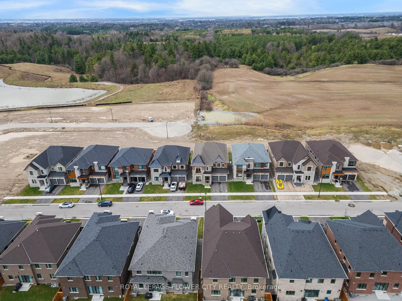 20 Seraville Street - Photo 39