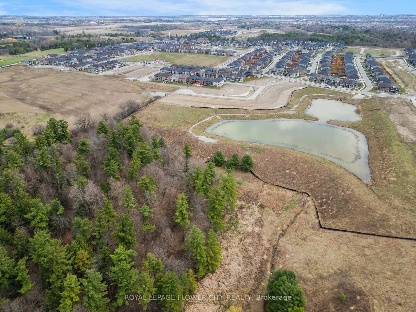 20 Seraville Street - Photo 45