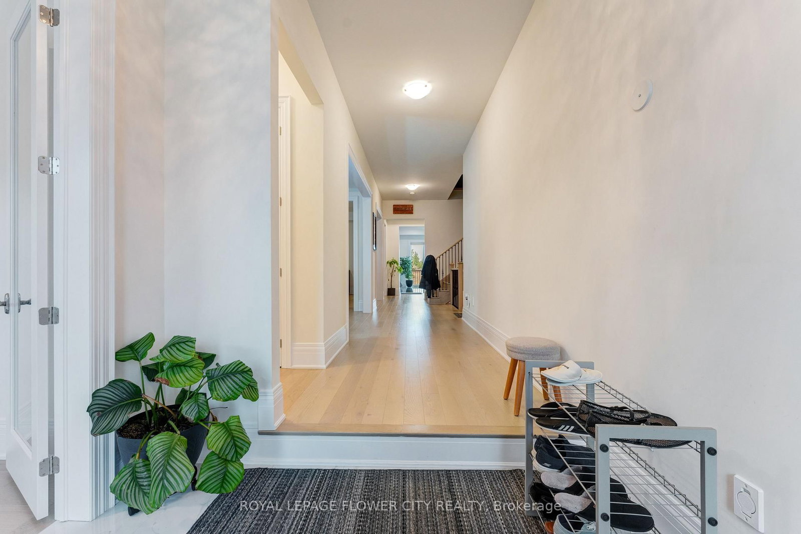 20 Seraville Street - Photo 6