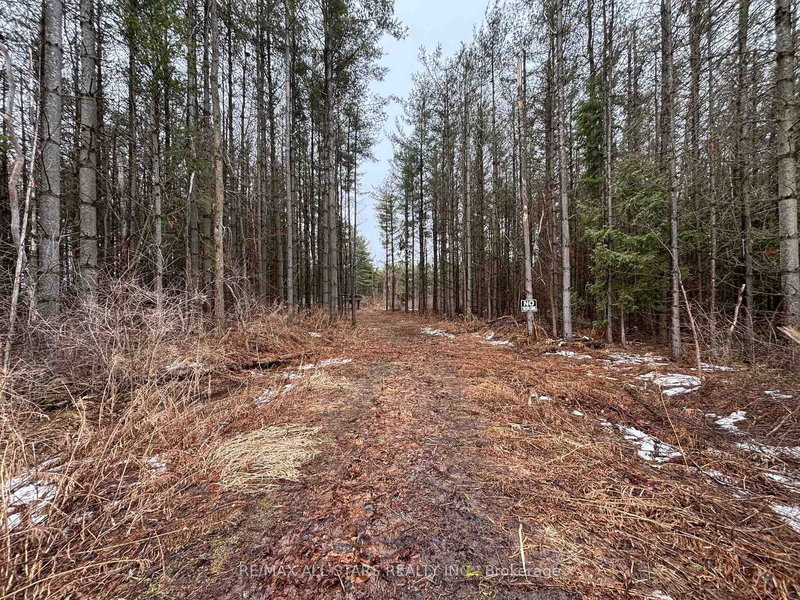 B1780 Thoroh Conc 3 Rd Concession, Brock, L0K 1A0 | Image 2