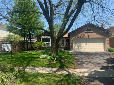 Basement - 371 Selby Cres | Newmarket | Image