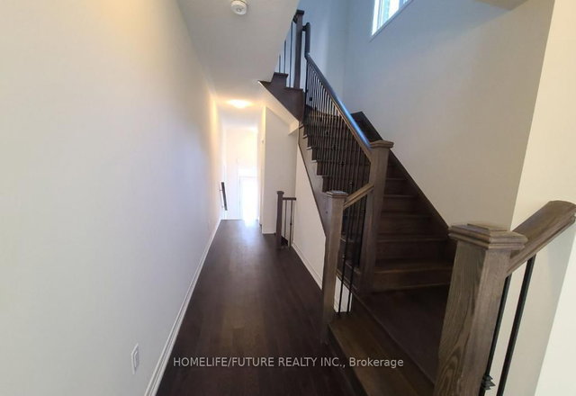 Bsmt - 12 Reign Lane