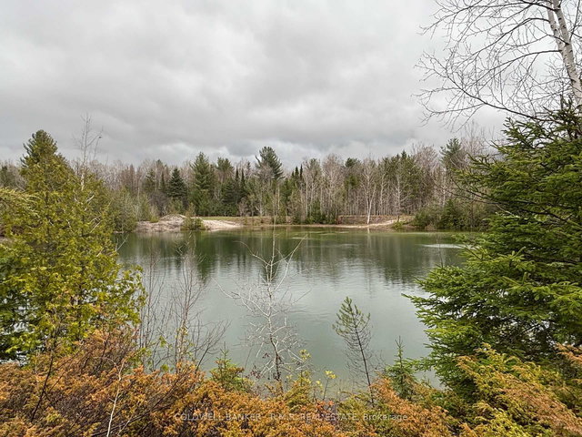 11369 and 11501 Concession Rd 3 Road