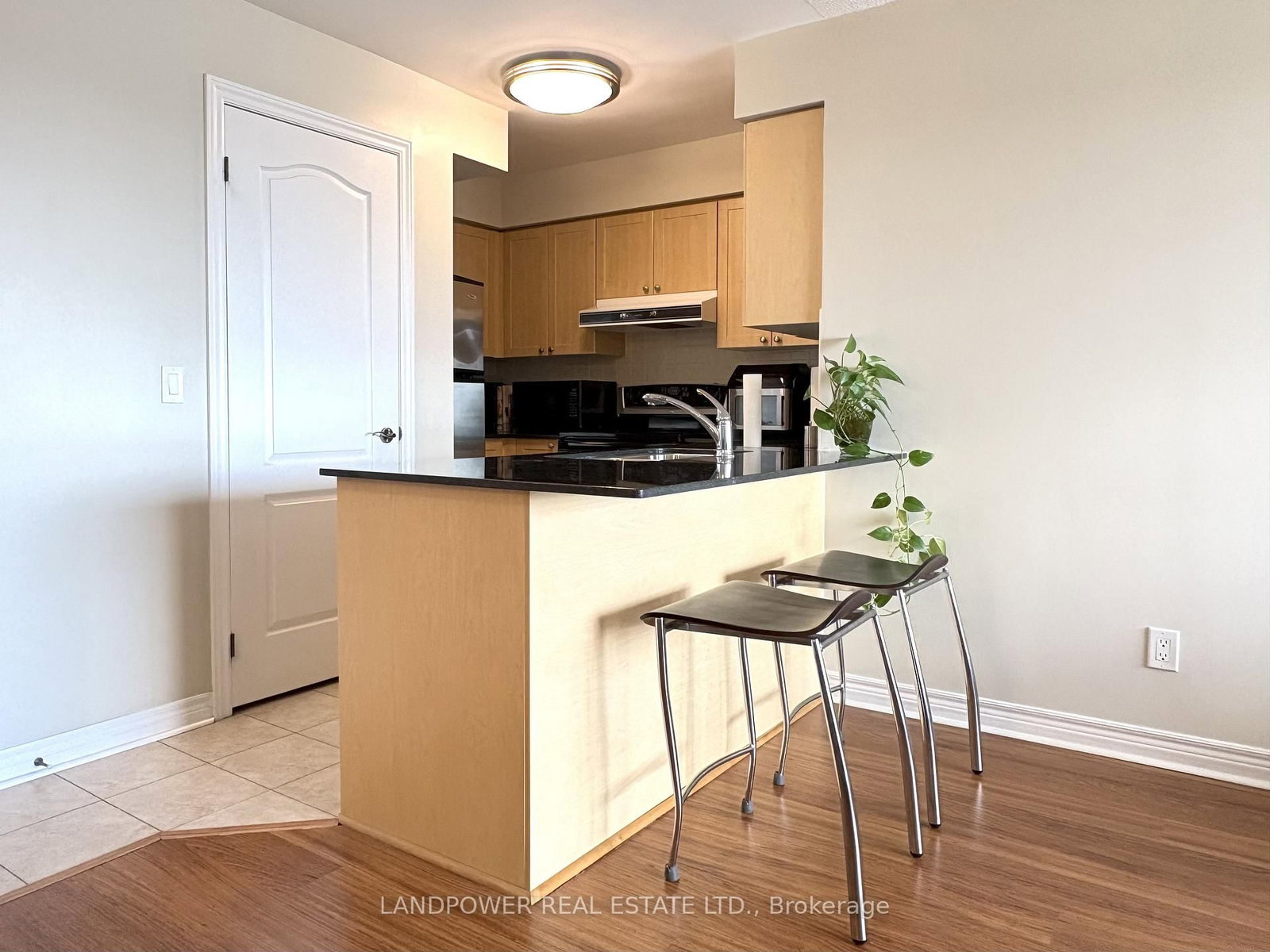 15 North Park Road, Unit 1116 - Photo 13