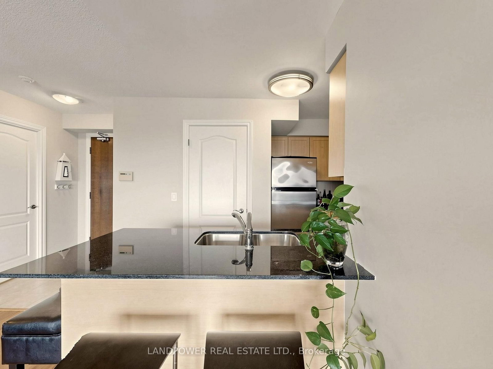 15 North Park Road, Unit 1116 - Photo 14