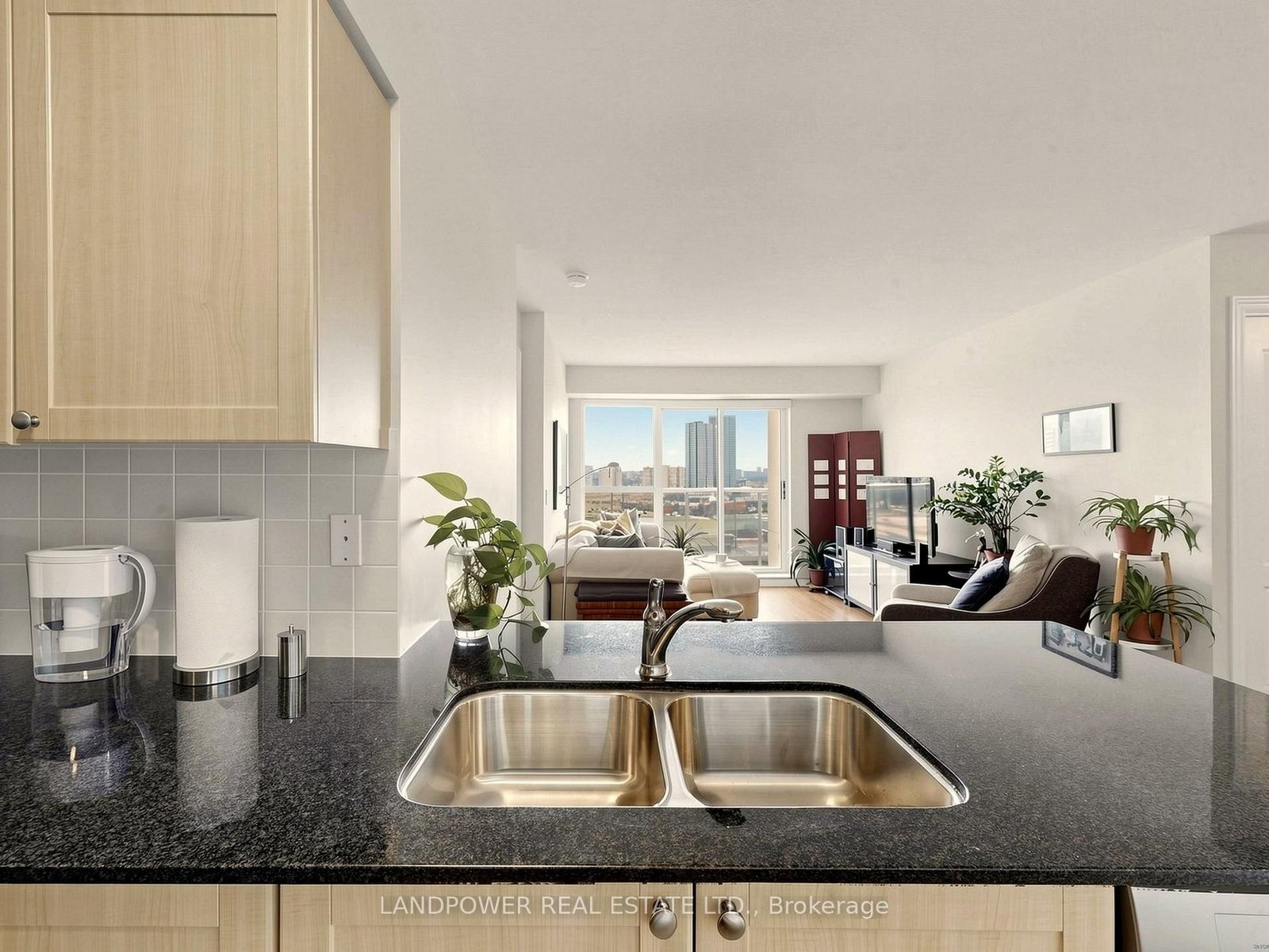 15 North Park Road, Unit 1116 - Photo 16