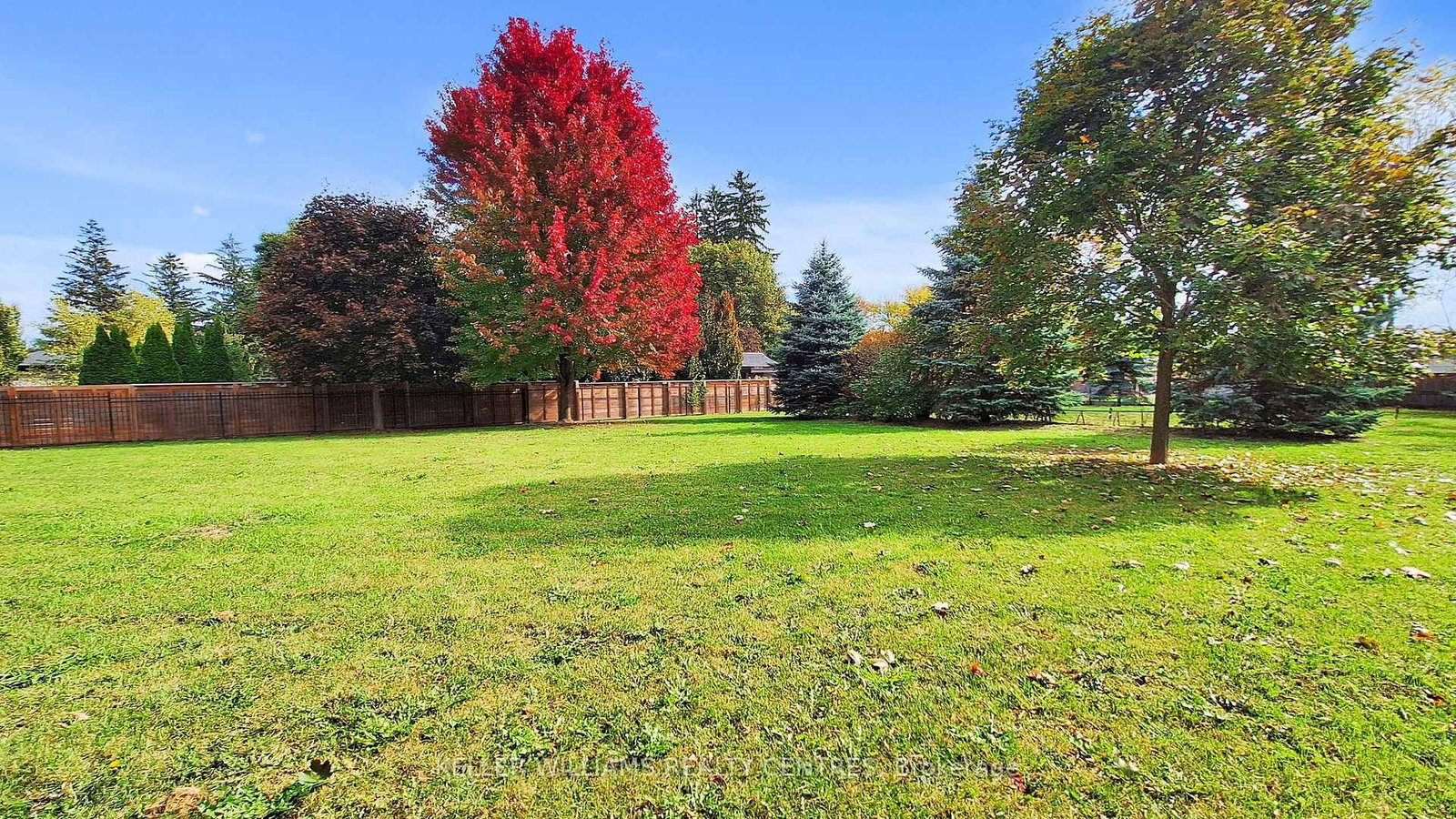 33 Maple Grove Avenue • Richmond Hill, ON photo 48