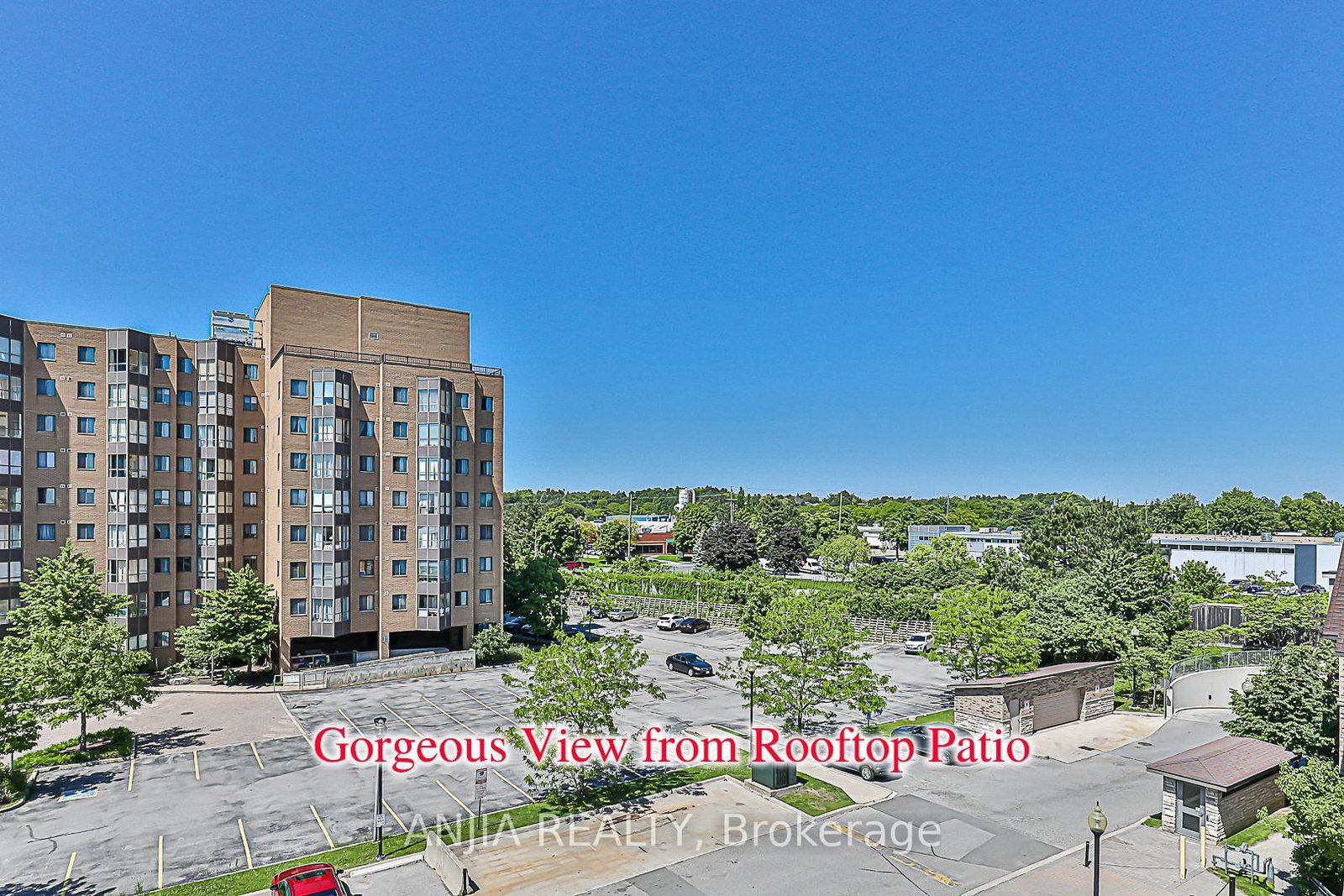 316 John Street, Unit 253 - Photo 22