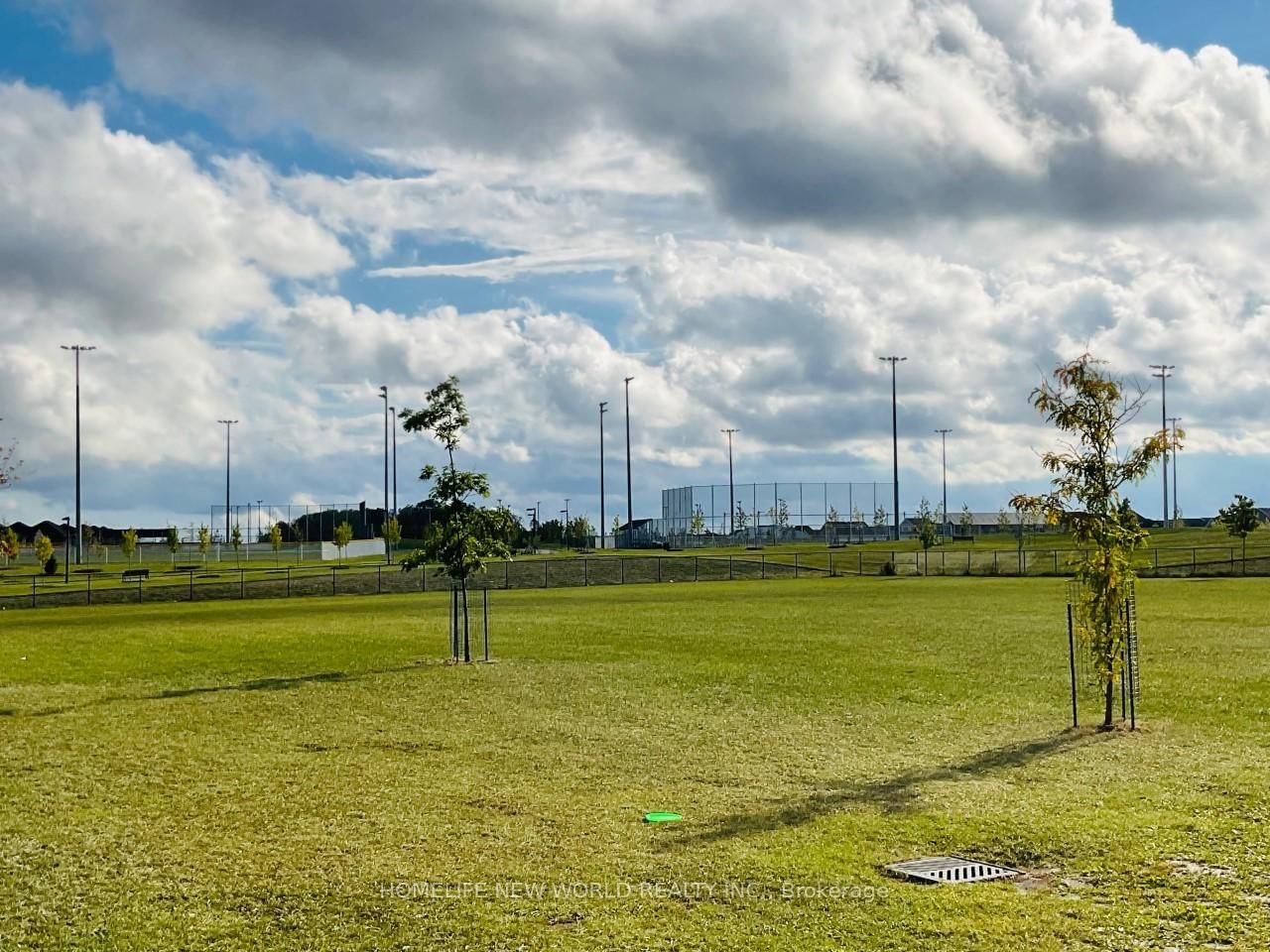 31 John Allan Cameron Street, Unit First Floor & Basement - Photo 21