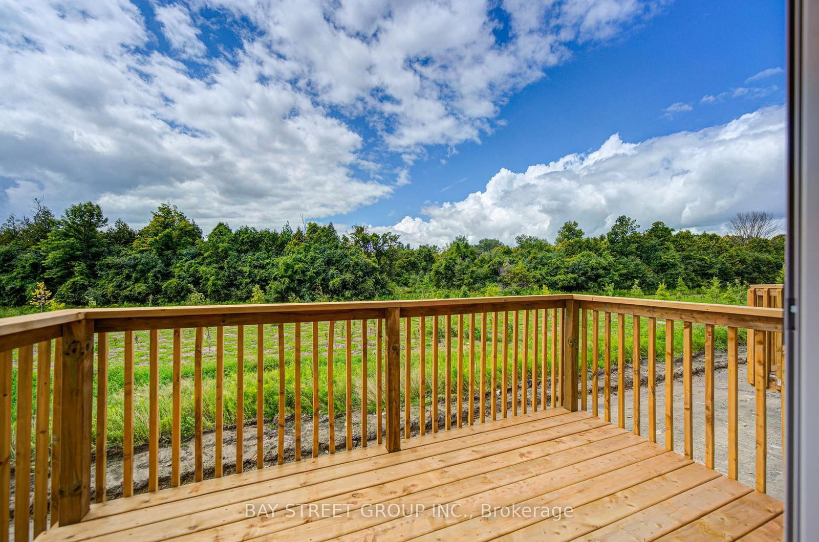 42 Big Willow Crescent • Richmond Hill, ON photo 41