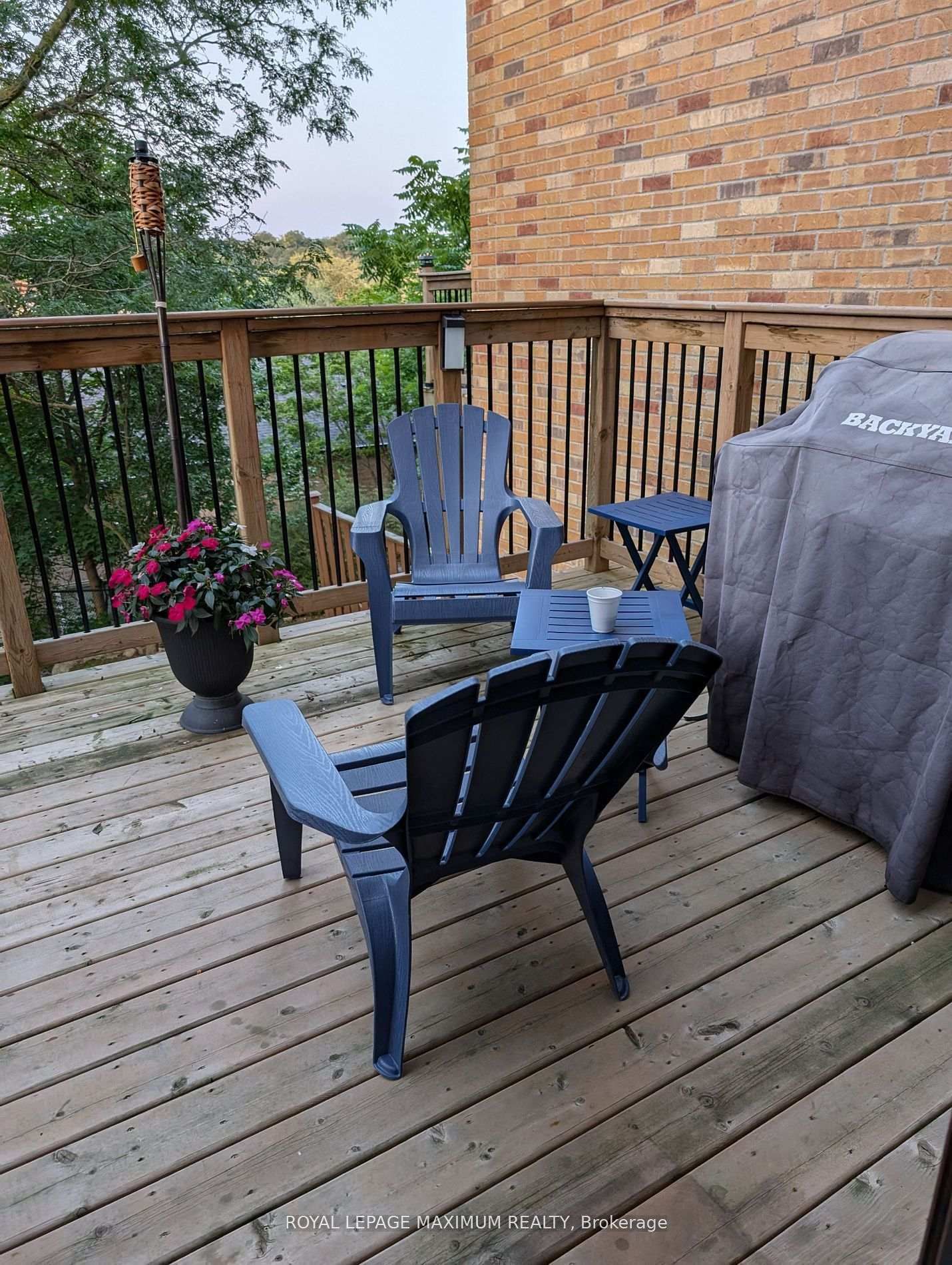 37 Old Firehall Lane - Photo 15