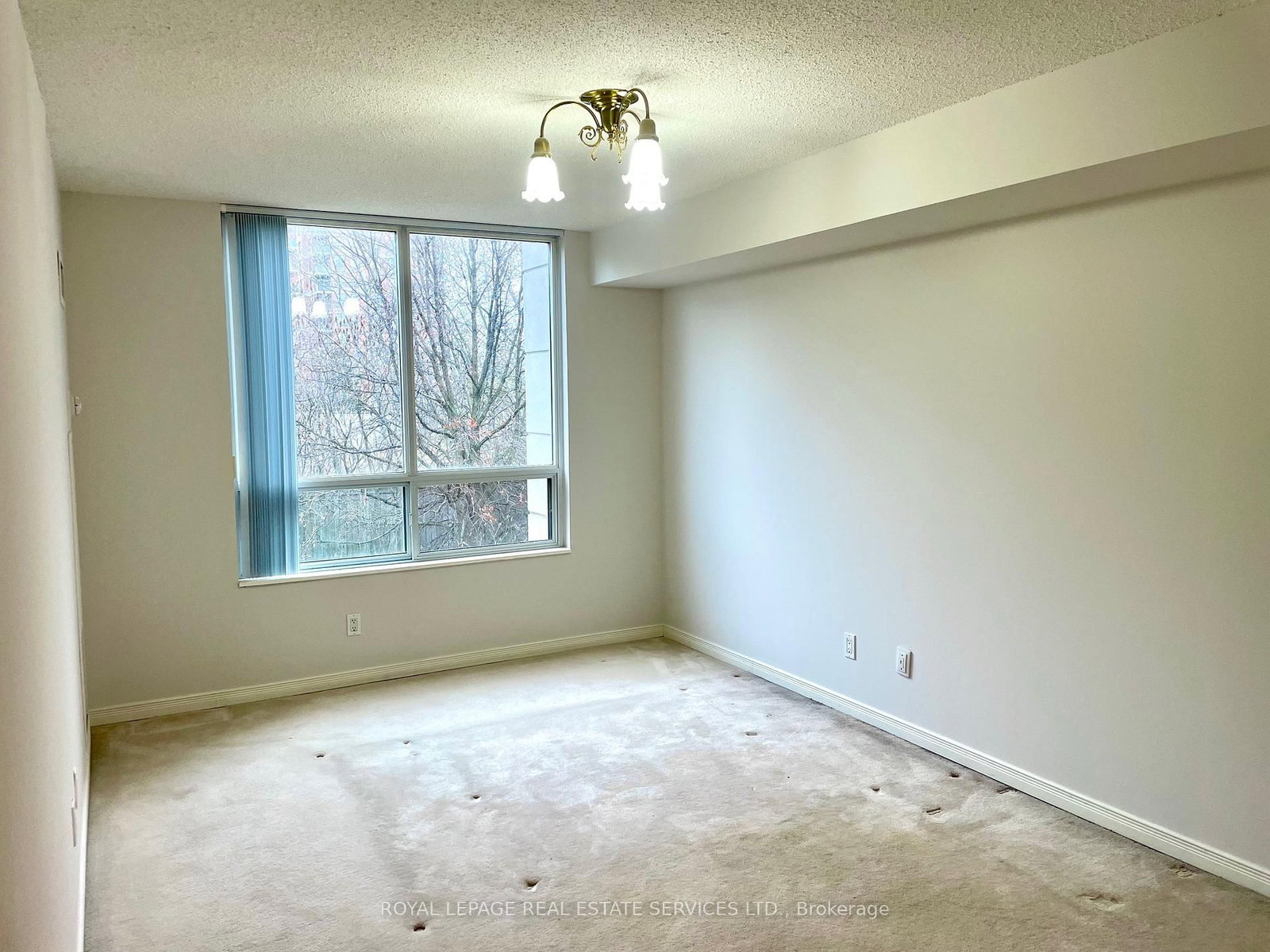 29 Northern Heights Drive, Unit 203 - Photo 12