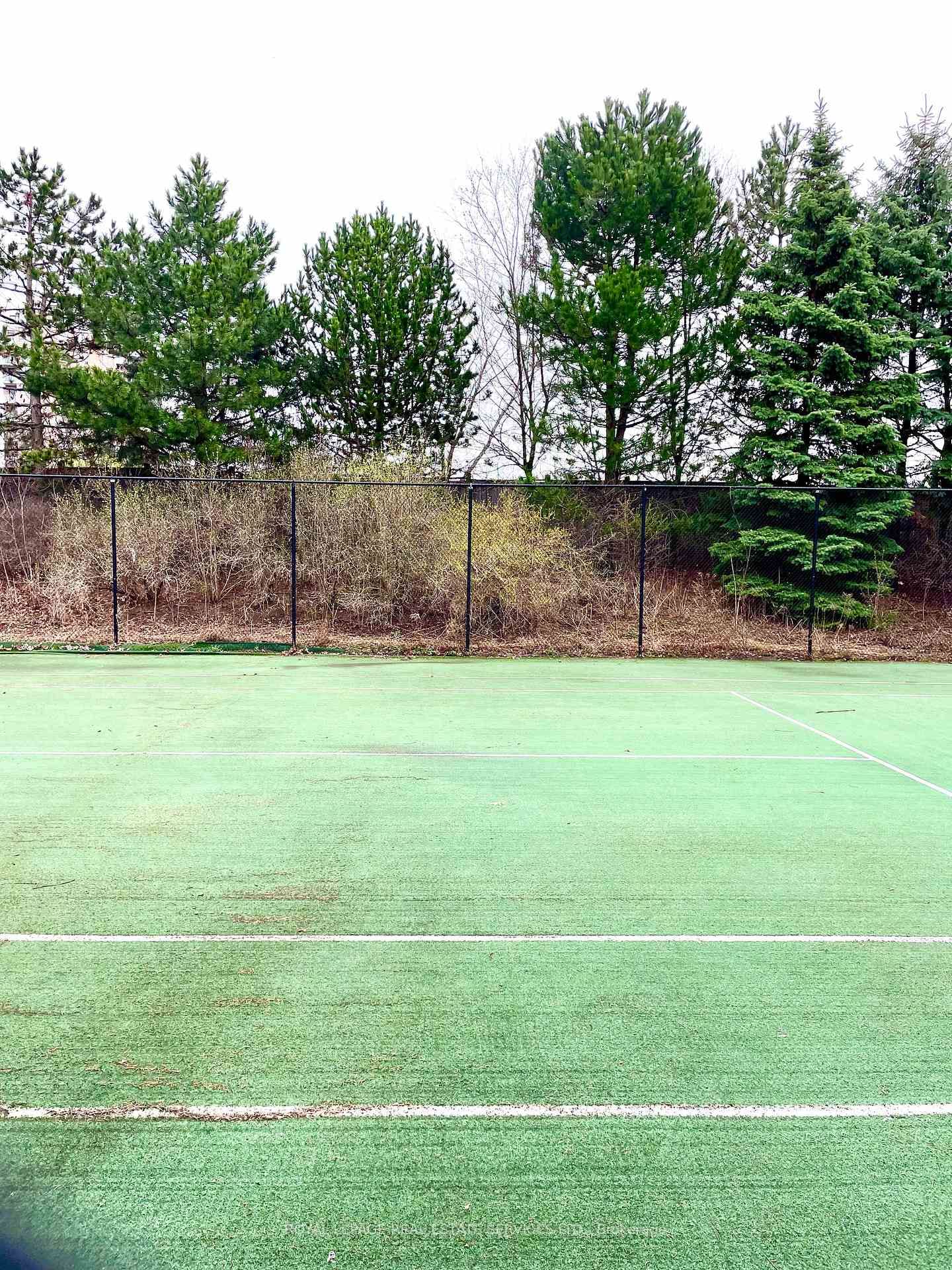 29 Northern Heights Drive, Unit 203 - Photo 25