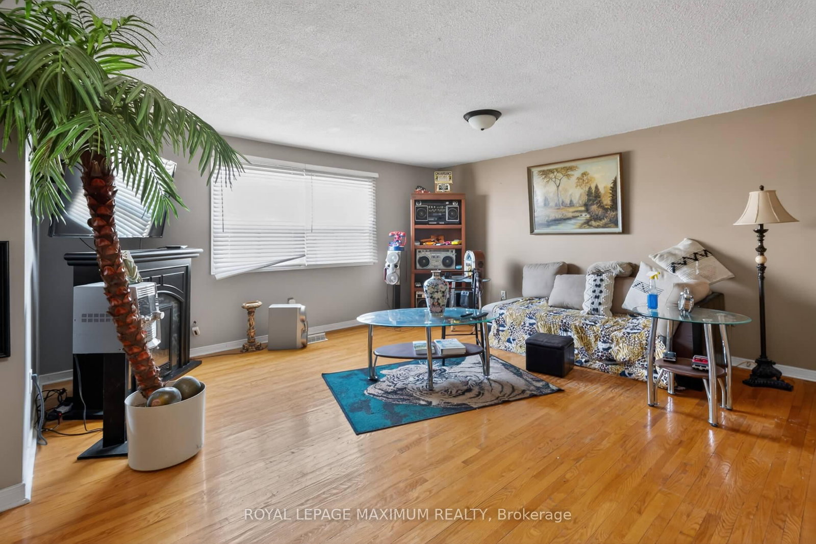 3 Muzzo Court - Photo 20