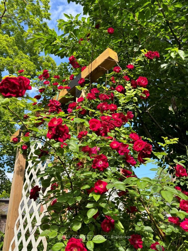 750 Gorham Street - Photo 47