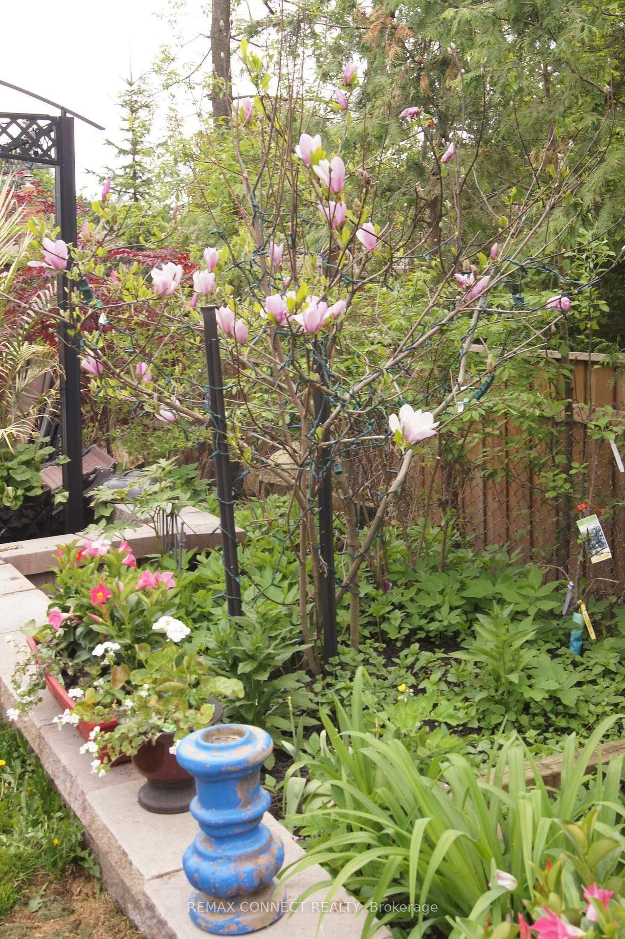 750 Gorham Street - Photo 50