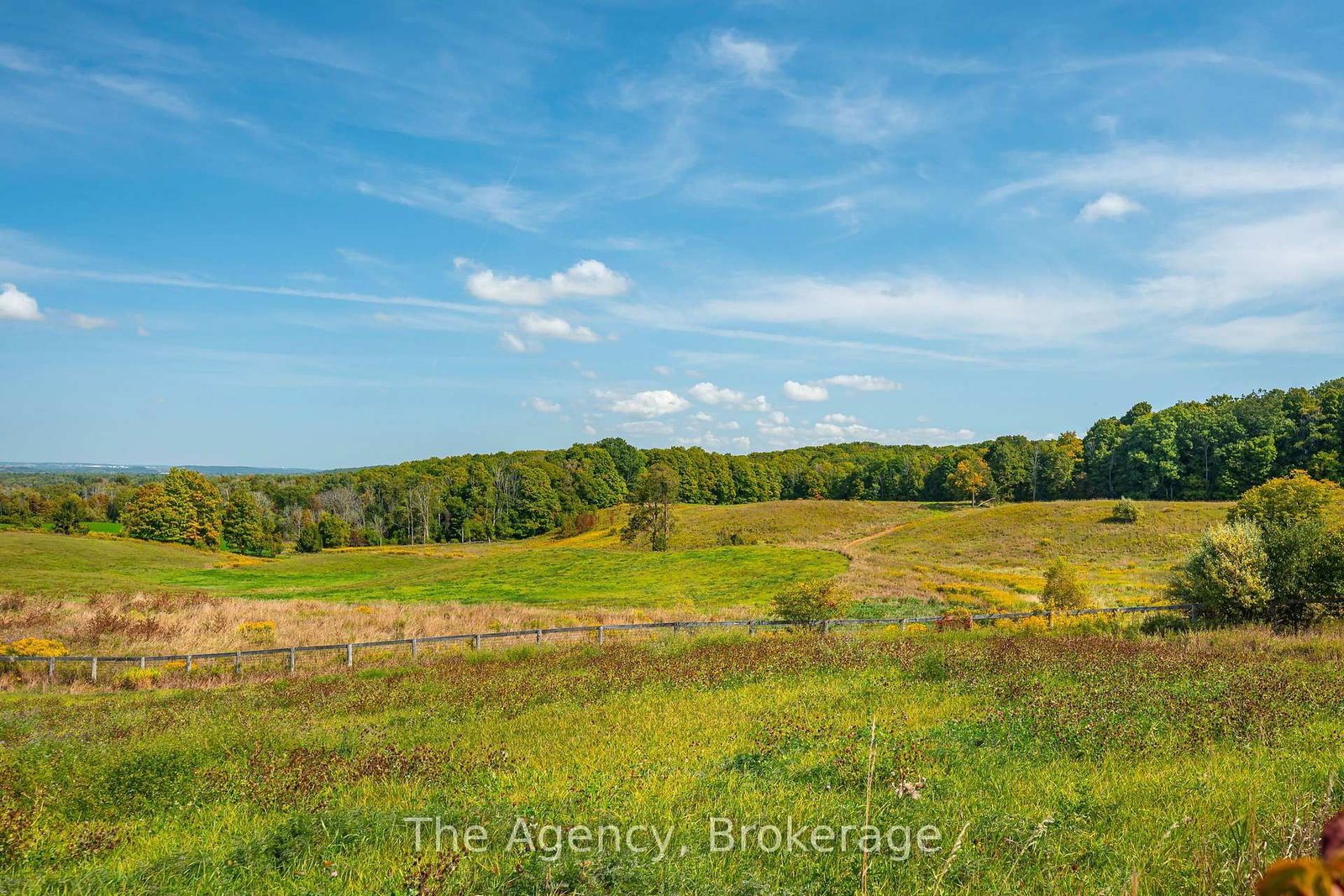 5150 17 Side Road • King, ON photo 14