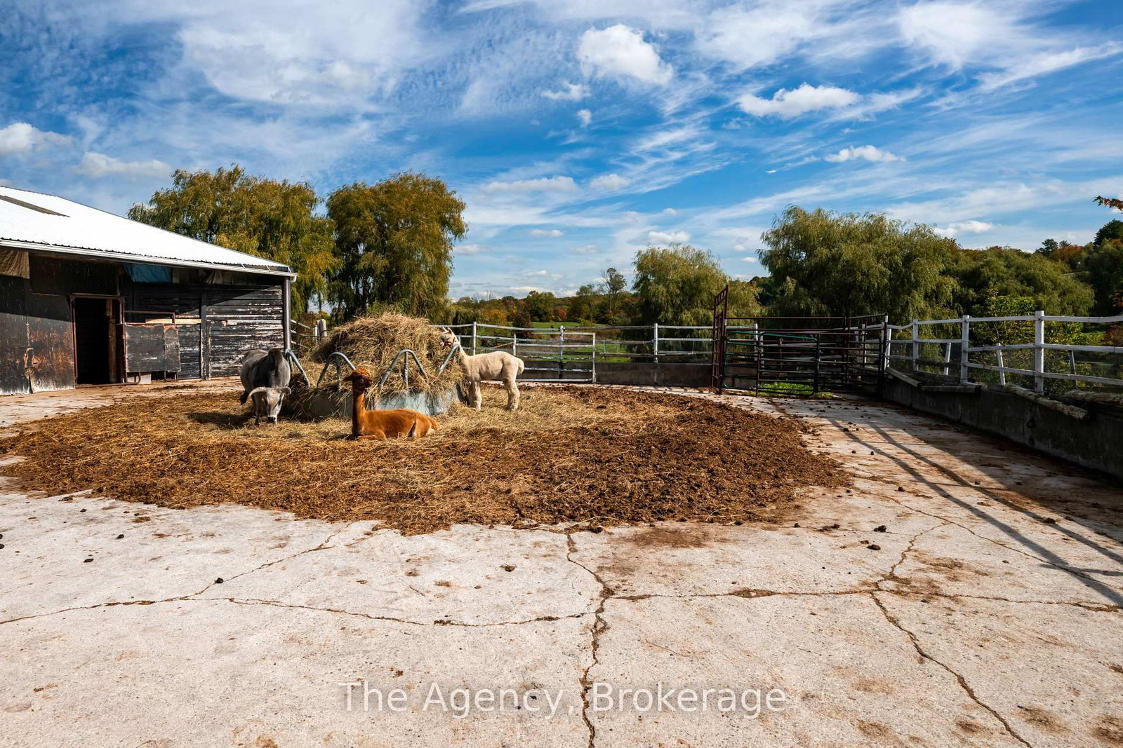 5150 17 Side Road • King, ON photo 35