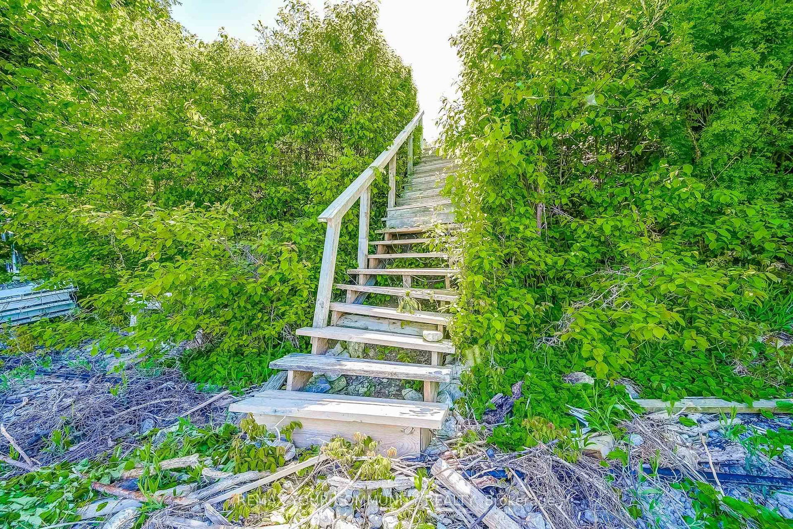 1623 Chief Joseph Snake Road • Georgina Islands, ON photo 36