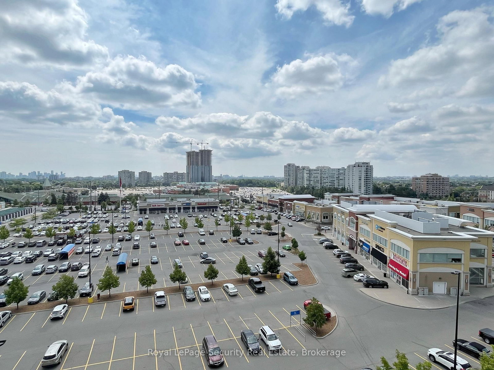 15 North Park Road, Unit 917 - Photo 12